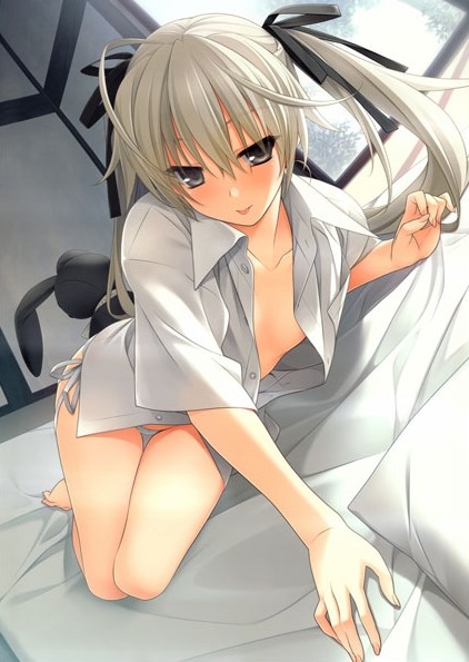 ������ �������� Yosuga no Sora