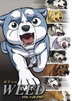 Ginga Densetsu Weed (������� � ���������� ����� ����) MPEG4