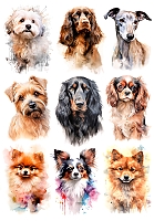 �������� ������ ����� No.4