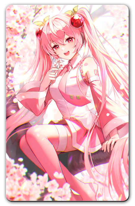 ������ ������������� �������� - ������ ���� No.5