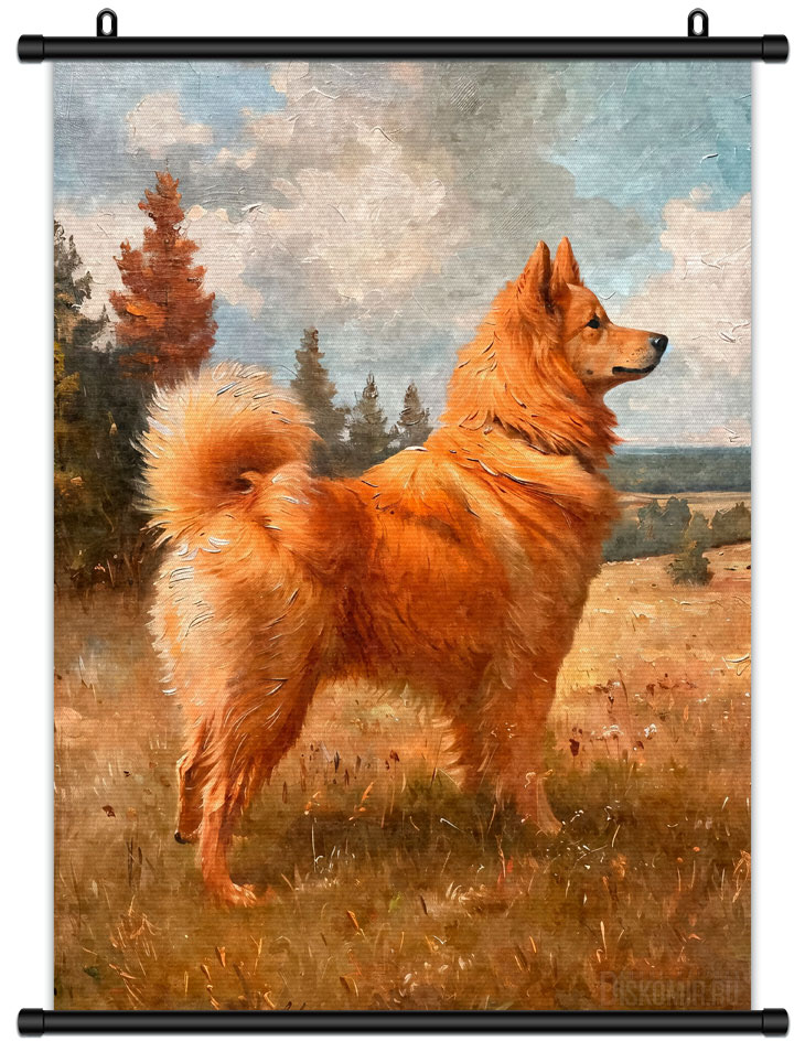 ������� �������� ������� ���� / ������