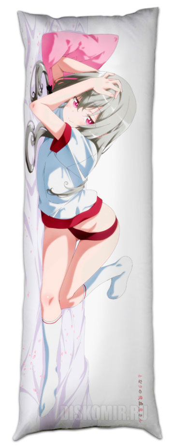 ���������� � �������� ���� �������� / ������� ������ �� ���������