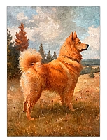 ������ �������� ������� ���� / ������