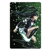 ������ ��������� ������������� D.Gray-man 310456