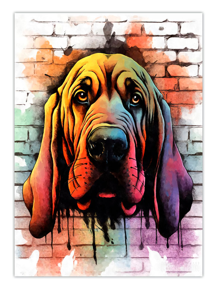 ������ �������� ��������� / ��������