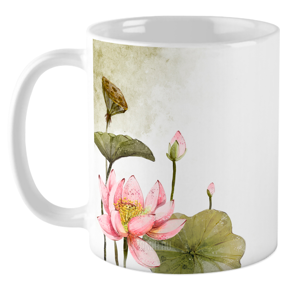 ���������� ������� ������������ ������ �� ����� ����� / �����