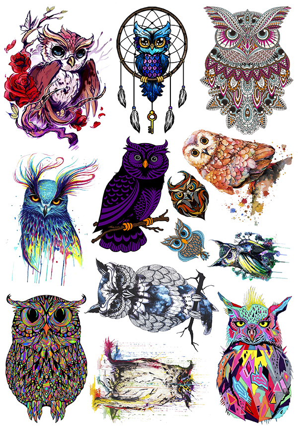 �������� ���� �������