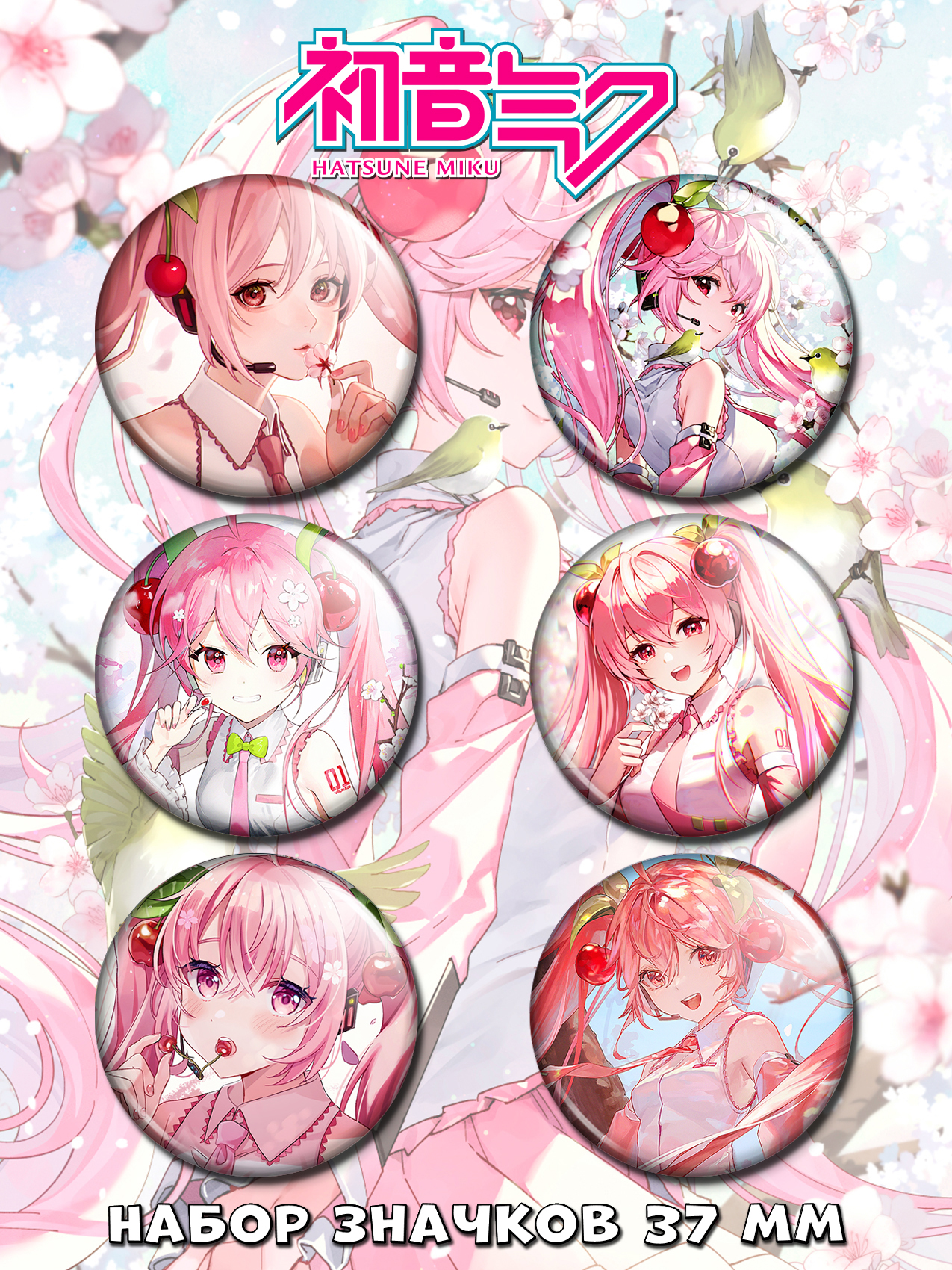 ������ ����� ��������� No.5 ������ ����