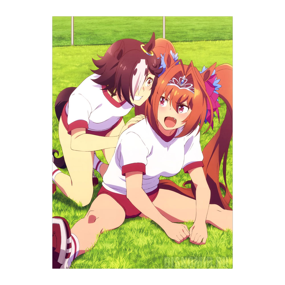 ������ �������� �������-����: ������� ����� - ����� � �����