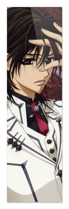 ���������� ������� �������� Vampire Knight 349869 �� ����� � ����� ������-������ / Vampire Knight