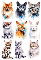 �������� ������ ����� No.4