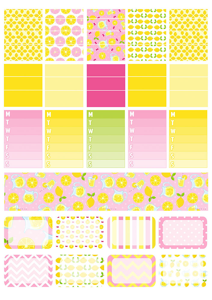 �������� ��� ����������� No.8 �����