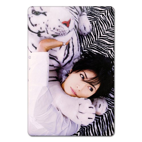 ���������� ������� ������ ��������� ������������� Gackt Camui tiger �� ����� � ����� 