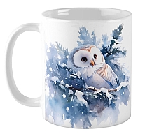 ������ ���� ����� / ��� �15