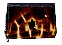 ������� ��������� ���� No.13