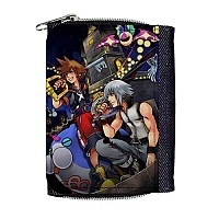   Kingdom Hearts Sora and Riku