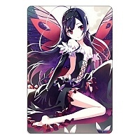 ������ ��������� ������������� Accel World 310418