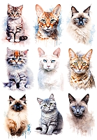 �������� ������ ����� No.3