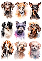 �������� ������ ����� No.2