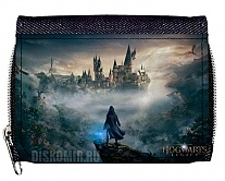 ������� ��������� ��������. ��������