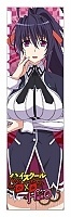    High School DxD Hero Himejima Akeno