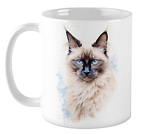 ������ ������������� ����� / ��������