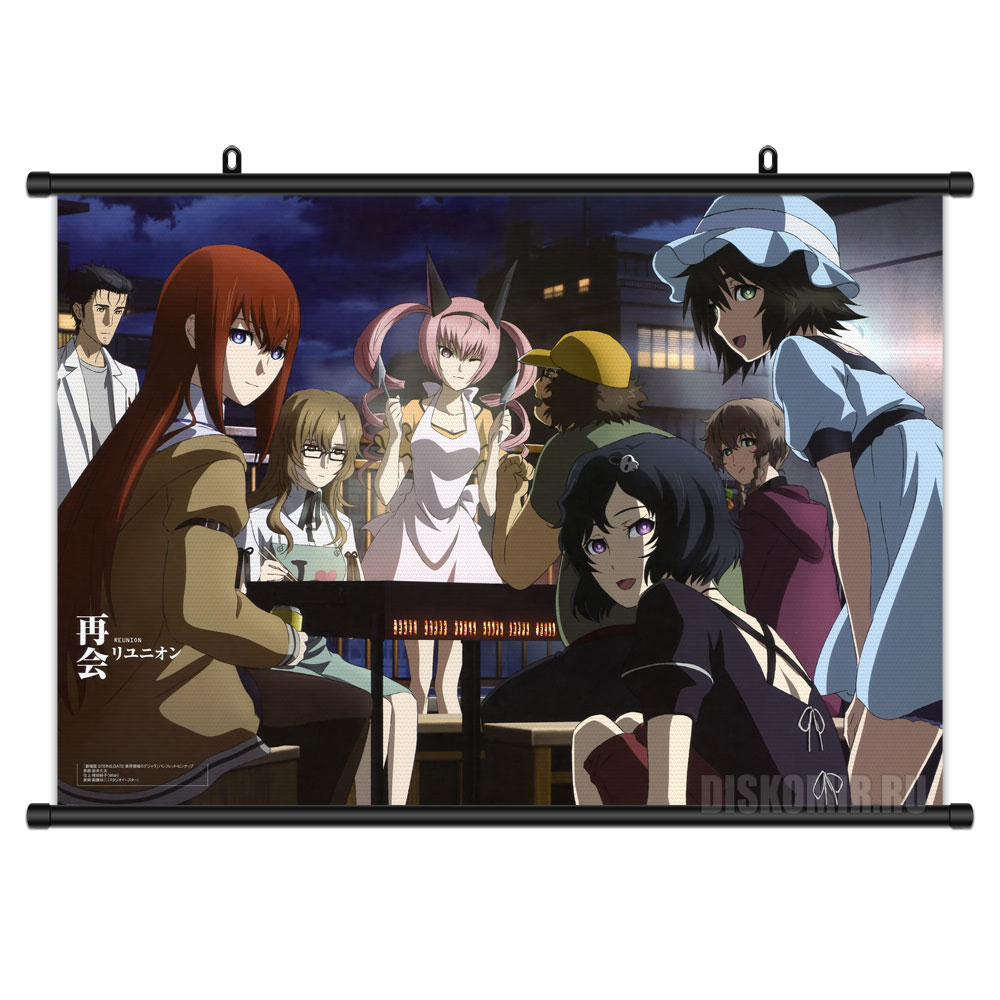                / Steins Gate