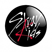  Stray Kids Logo