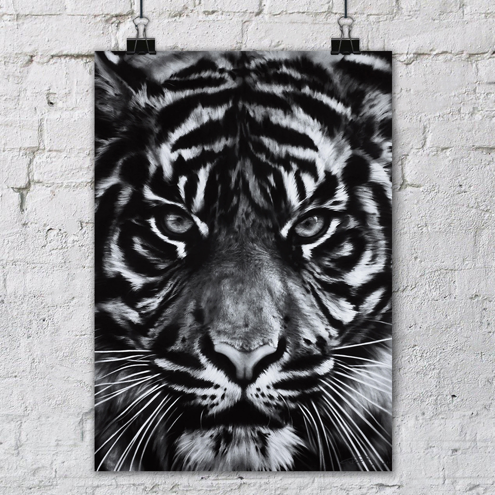 ������ ��� ��������� Untitled (Tiger Head 2) / ������ �� �����