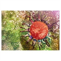 ���� Cross-Over (������ A3, 252 ������) 67133