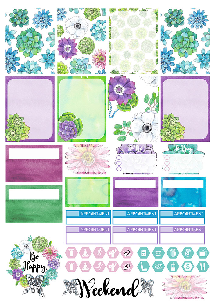 ������� ��� ����������� No.17 ��������� ��������