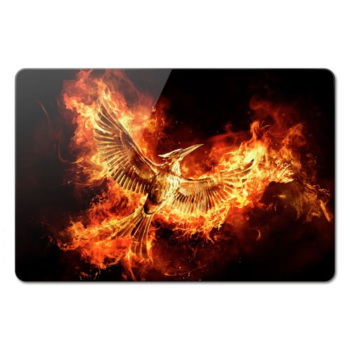 ������ ��������� ������������� The Hunger Games 351914