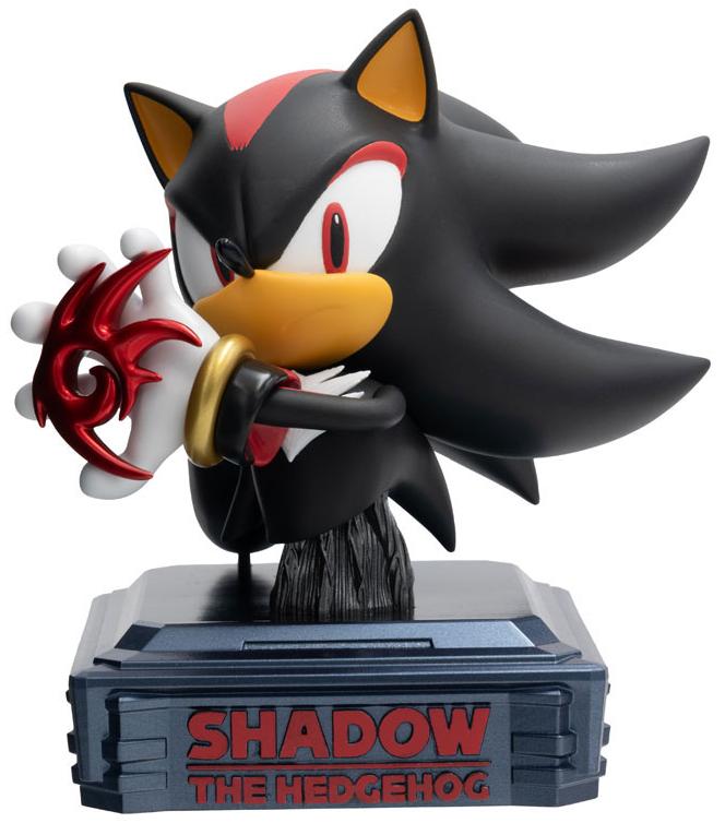 ����� � �������� Nintendo Switch Sonic X Shadow Generations: Collectors Edition