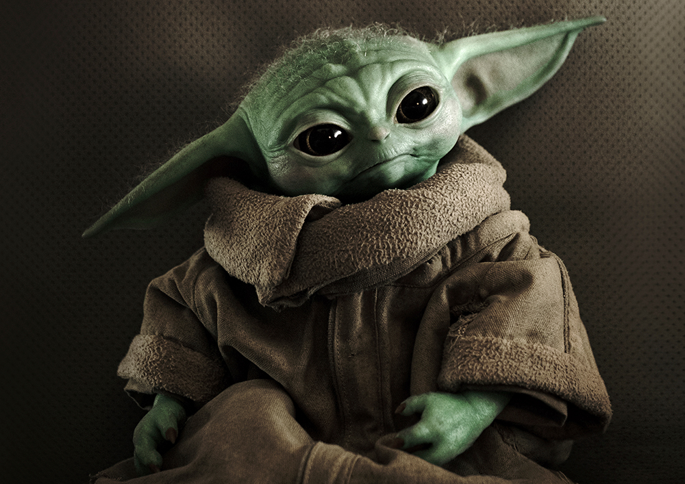 ������ �������� ���������� / �����