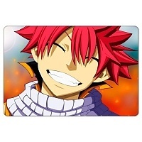    Fairy Tail 305335