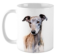 ������ ����� / ��������