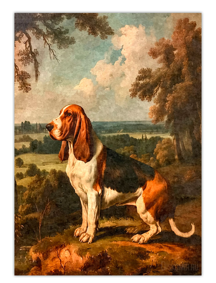 ������ �������� ������-����� / ������