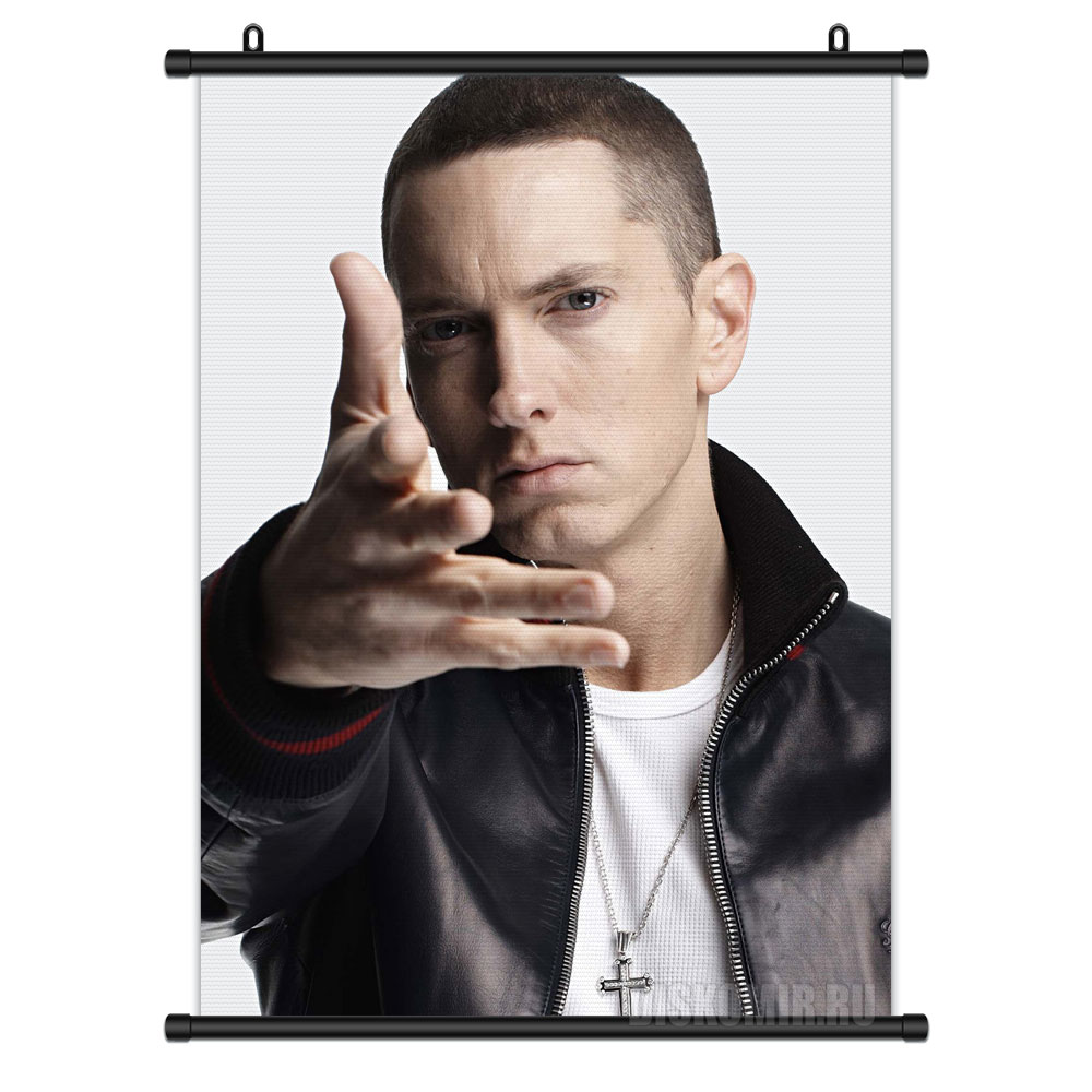     Eminem Slim Shady      / Eminem