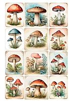 �������� ��������� �����