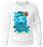  One Piece / Going Merry