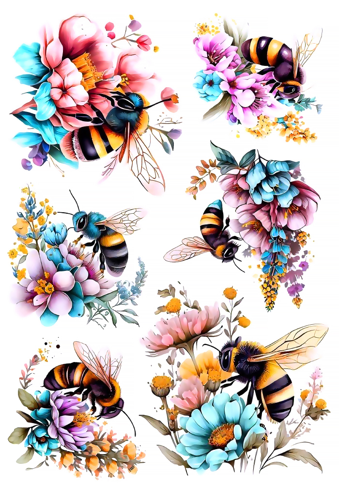 ������� ����� �� ������ / ��������