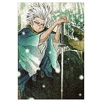 ���� ���� (������ A3, 252 ������) No.17