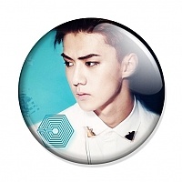  EXO SeHun