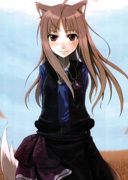 ������ �������� � ������� Spice and Wolf