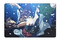 ������ ��������� ������������� Hakuouki: Shinsengumi Kitan 301429