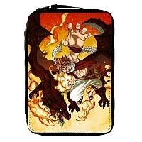     Fairy Tail /  