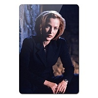    The X-Files 351963