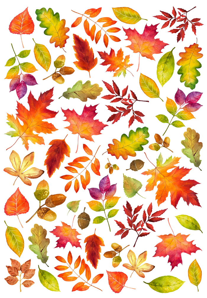 �������� ������� ������