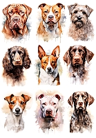 �������� ������ ����� No.1