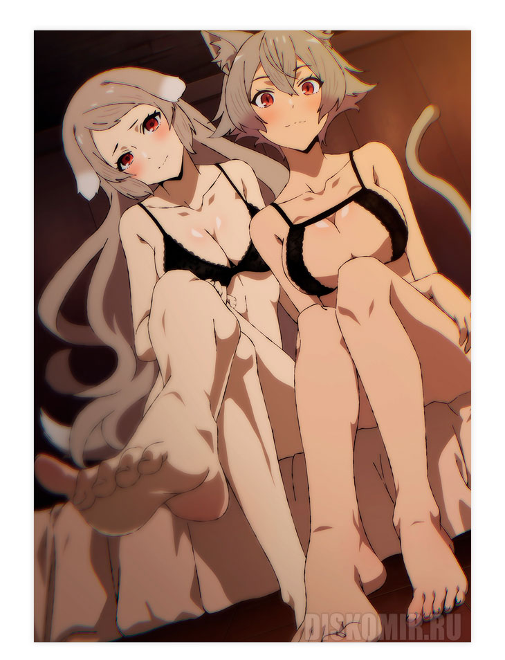 ������ �������� ������� � ����� / ������������ ������������